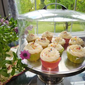 Scrumptious Vanilla Cupcake Collection