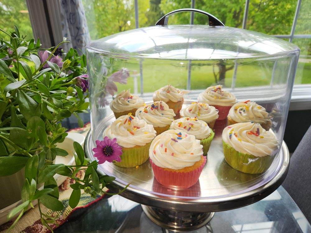 Scrumptious Vanilla Cupcake Collection