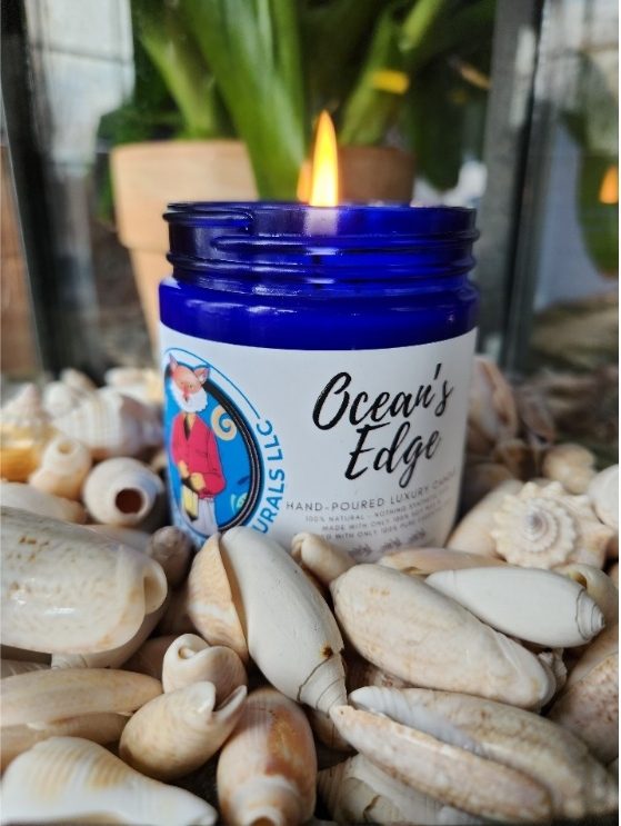 Ocean's Edge