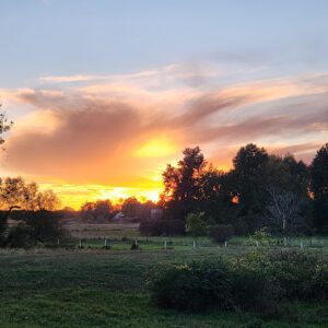 Enchanting Sunset