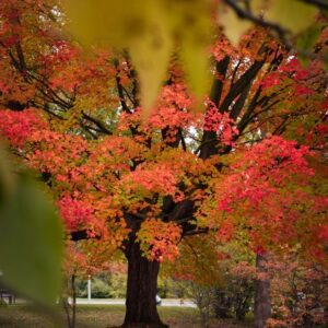 Perfect Autumn Day