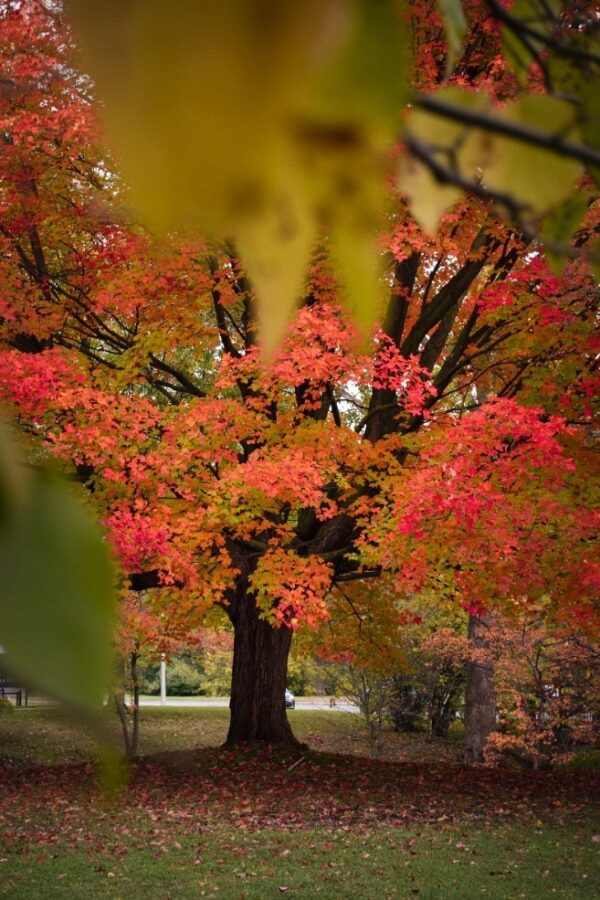 Perfect Autumn Day