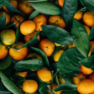 Radiant Orange - Organic Sugar Body Scrub