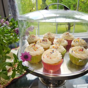 Scrumptious Vanilla Cupcake