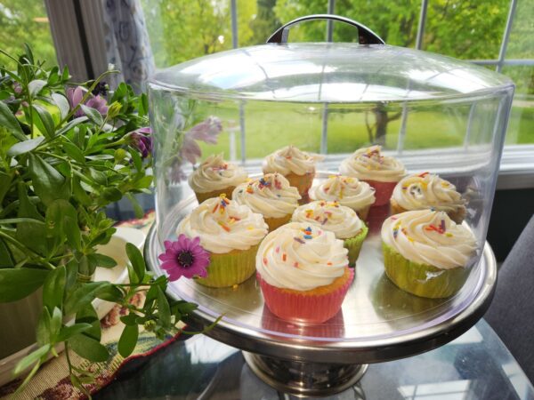 Scrumptious Vanilla Cupcake