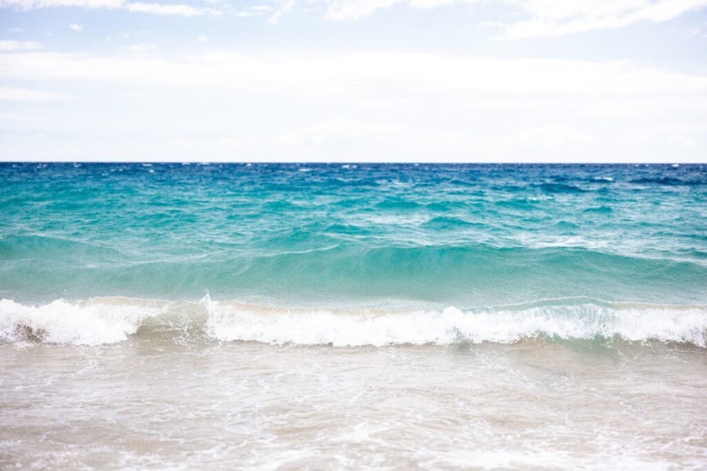 Serene Ocean’s Edge