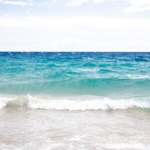Serene Ocean’s Edge