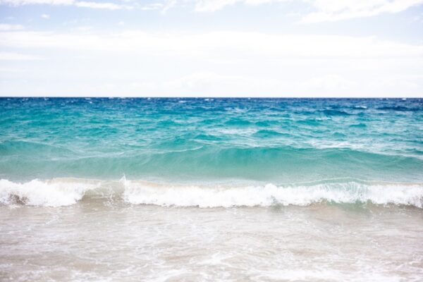 Serene Ocean’s Edge