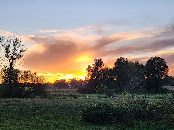 Enchanting Sunset