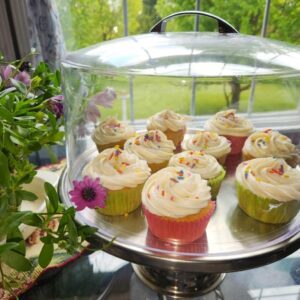 Scrumptious Vanilla Cupcake