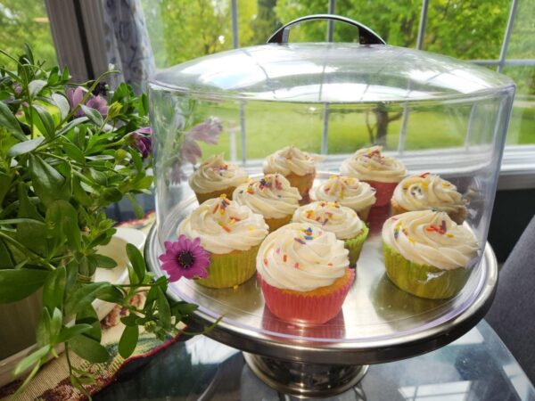 Scrumptious Vanilla Cupcake