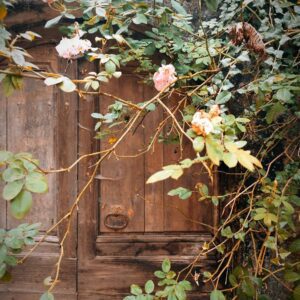 Sandal Rose Bloom